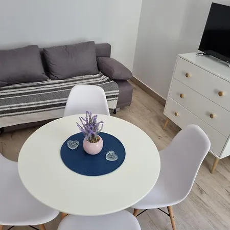 Sonia 2 La Curte Constanta